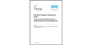 Risk-Based Vegetation Management Guide image