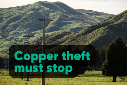 Copper theft must stop  image