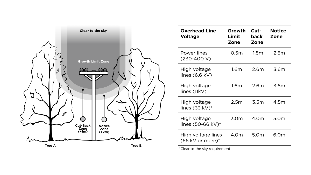 diamgram showing tree regulations and cut back zones