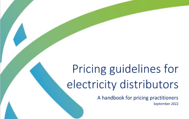 Pricing guidelines for electricity distributors 2022 image