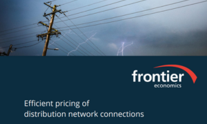 Efficient pricing of distribution network connections image