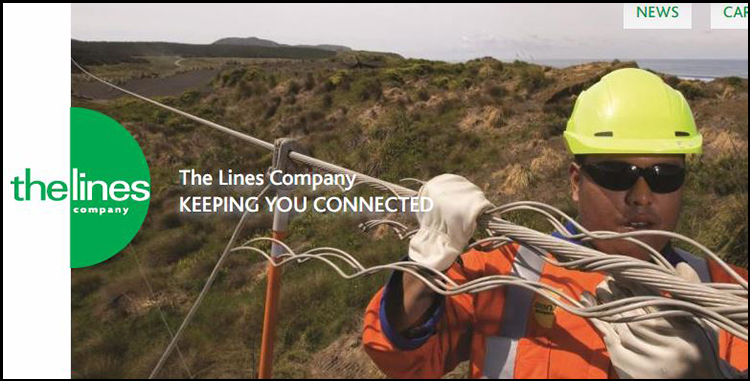 The Lines Company’s pricing review suggests lessons for distribution pricing going forward image