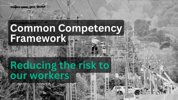CCF image with words common competency framework - reducing the risk to our workers